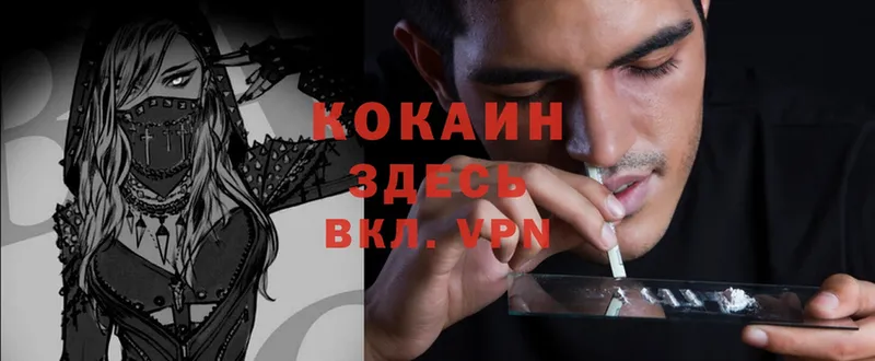 COCAIN Боливия  Красногорск 